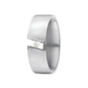 Zenubia Schmuck AG ➤ Ring - 111678 ➤ Edelstahl / silber ➤ Xen ➤ online bei Zenubia in Winterthur kaufen ➤ sofort lieferbar