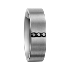 Zenubia Schmuck AG ➤ Titan Ring ➤ Titan / silber ➤ Titanfactory ➤ online bei Zenubia in Winterthur kaufen ➤ sofort lieferbar