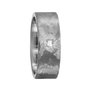Zenubia Schmuck AG ➤ Titan Ring ➤ Titan / silber ➤ Titanfactory ➤ online bei Zenubia in Winterthur kaufen ➤ sofort lieferbar