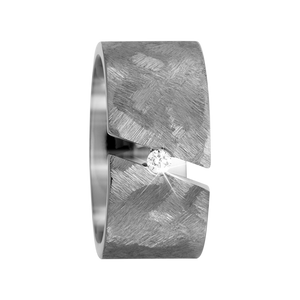 Zenubia Schmuck AG ➤ Titan Ring ➤ Titan / silber ➤ Titanfactory ➤ online bei Zenubia in Winterthur kaufen ➤ sofort lieferbar