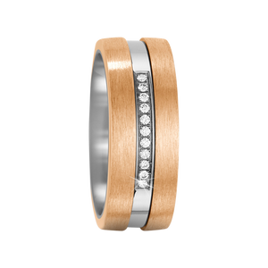 Zenubia Schmuck AG ➤ Bronze, Titan Ring ➤ Titan, Bronze / silber, gold ➤ Titanfactory ➤ online bei Zenubia in Winterthur kaufen ➤ sofort lieferbar