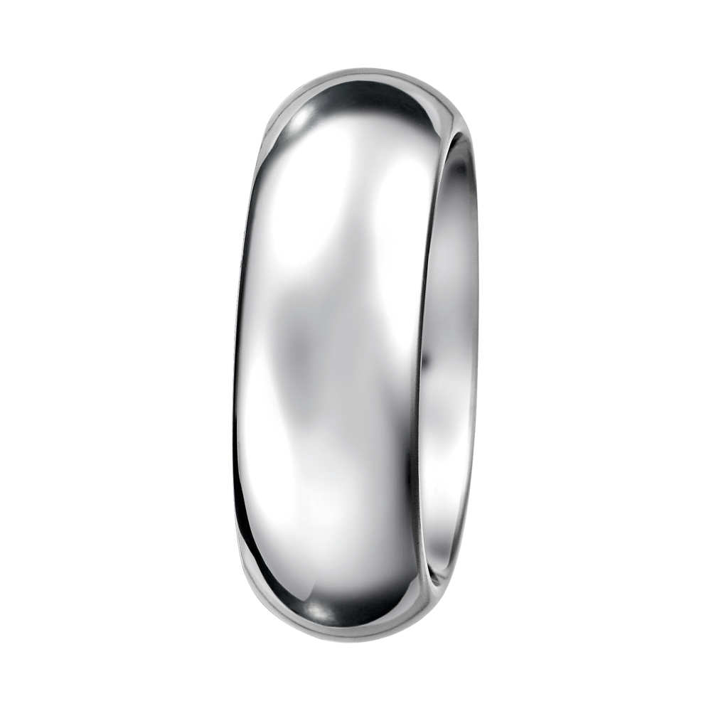 Zenubia Schmuck AG ➤ Ring - 011661 ➤ Edelstahl / silber ➤ Xen ➤ online bei Zenubia in Winterthur kaufen ➤ sofort lieferbar