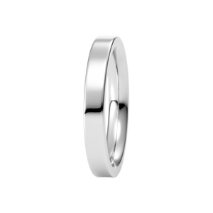 Zenubia Schmuck AG ➤ Ring - 011689 ➤ Edelstahl / silber ➤ Xen ➤ online bei Zenubia in Winterthur kaufen ➤ sofort lieferbar