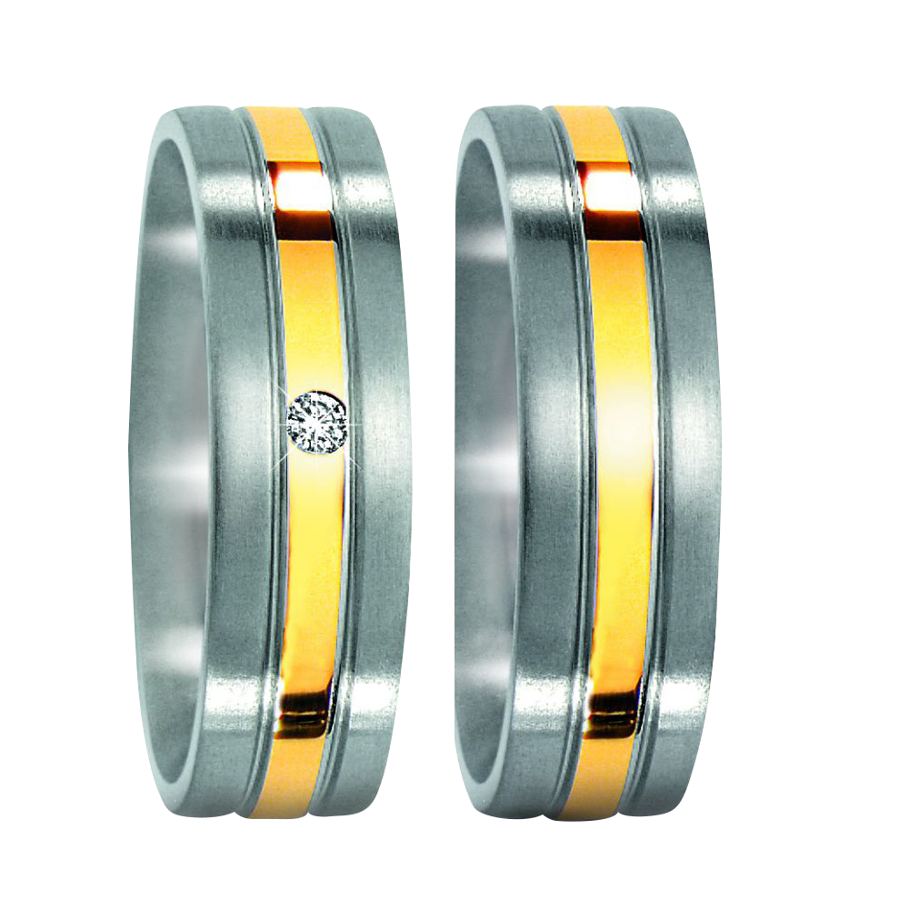 Zenubia Schmuck AG ➤ Edelstahl, 750/18 K Gelbgold Ring ➤ Titan / silber, gold ➤ Titanfactory ➤ online bei Zenubia in Winterthur kaufen ➤ sofort lieferbar