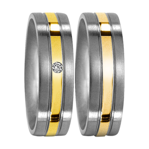 Zenubia Schmuck AG ➤ Titan, 750/18 K Gelbgold Ring ➤ Titan / silber, gold ➤ Titanfactory ➤ online bei Zenubia in Winterthur kaufen ➤ sofort lieferbar