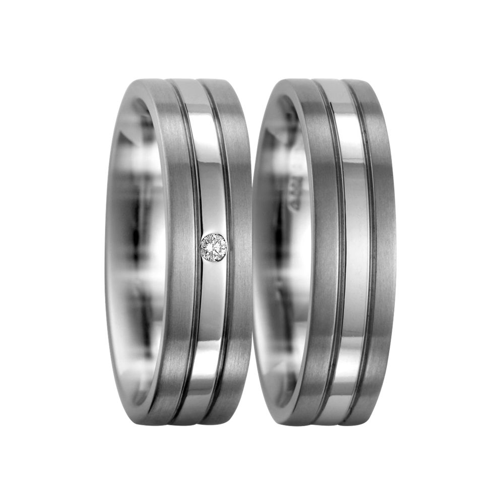 Zenubia Schmuck AG ➤ Titan, 950 Palladium Ring ➤ Titan, Palladium / silber ➤ Titanfactory ➤ online bei Zenubia in Winterthur kaufen ➤ sofort lieferbar