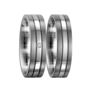 Zenubia Schmuck AG ➤ Titan, 950 Palladium Ring ➤ Titan, Palladium / silber ➤ Titanfactory ➤ online bei Zenubia in Winterthur kaufen ➤ sofort lieferbar