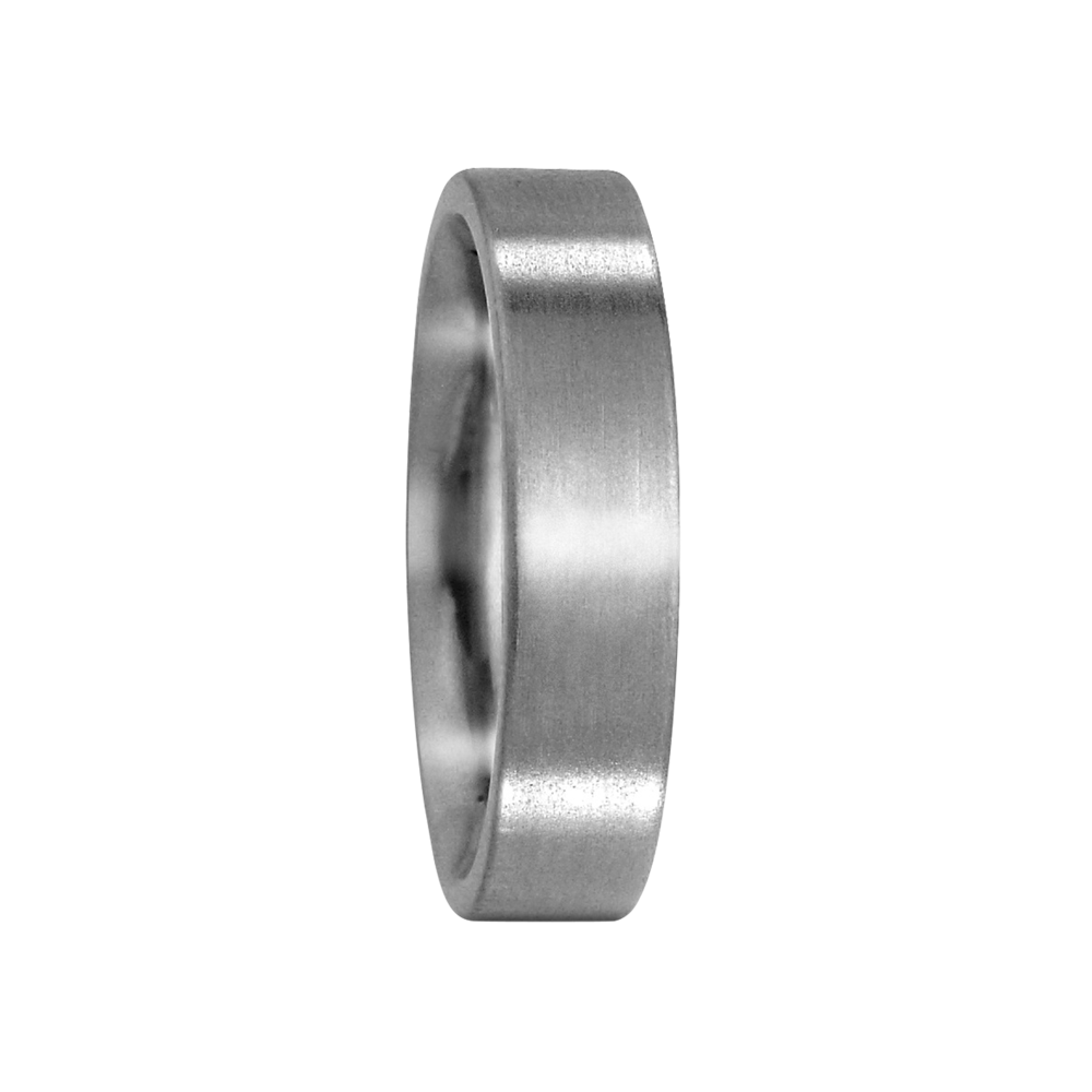 Zenubia Schmuck AG ➤ Titan Ring ➤ Titan / silber ➤ Titanfactory ➤ online bei Zenubia in Winterthur kaufen ➤ sofort lieferbar