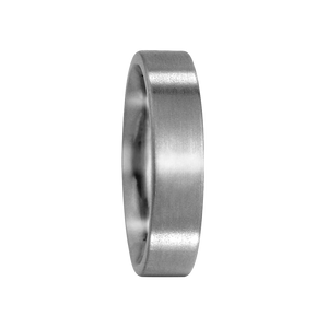 Zenubia Schmuck AG ➤ Titan Ring ➤ Titan / silber ➤ Titanfactory ➤ online bei Zenubia in Winterthur kaufen ➤ sofort lieferbar