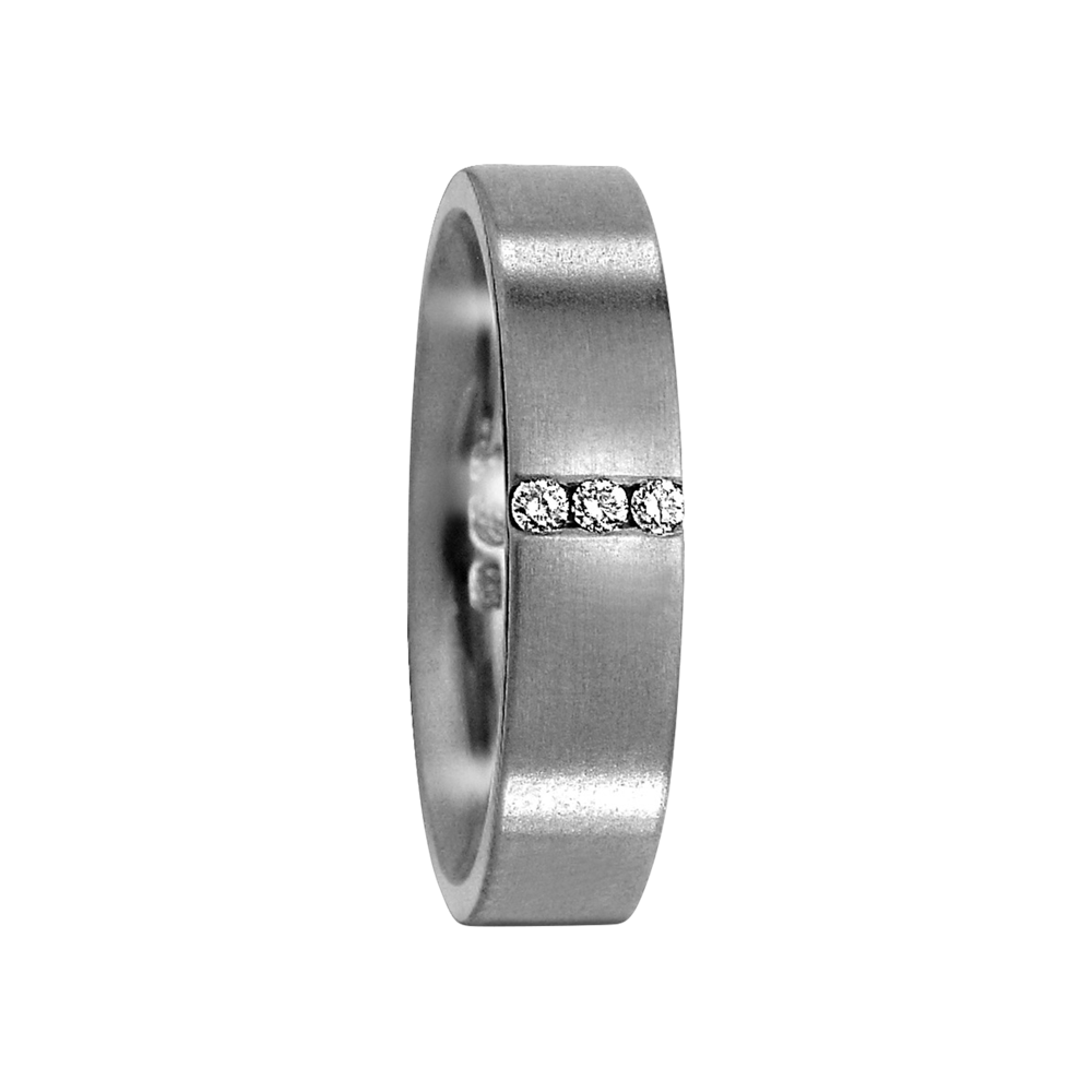 Zenubia Schmuck AG ➤ Titan Ring ➤ Titan / silber ➤ Titanfactory ➤ online bei Zenubia in Winterthur kaufen ➤ sofort lieferbar