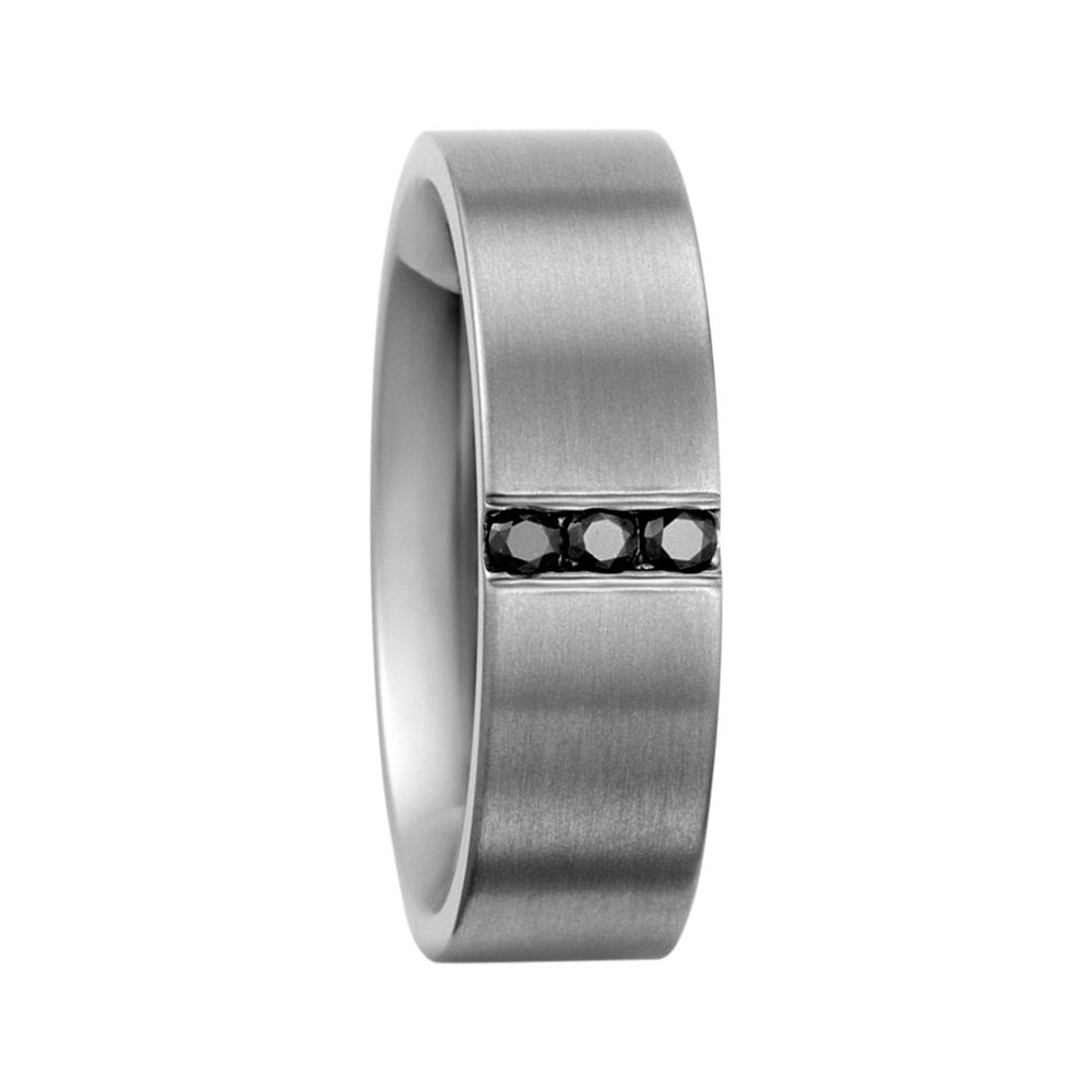 Zenubia Schmuck AG ➤ Titan Ring ➤ Titan / silber ➤ Titanfactory ➤ online bei Zenubia in Winterthur kaufen ➤ sofort lieferbar