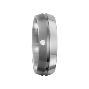 Zenubia Schmuck AG ➤ Titan Ring ➤ Titan / silber ➤ Titanfactory ➤ online bei Zenubia in Winterthur kaufen ➤ sofort lieferbar