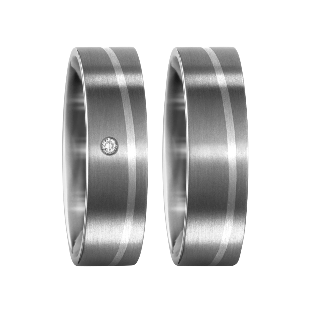 Zenubia Schmuck AG ➤ Titan, 950 Palladium Ring ➤ Titan, Palladium / silber ➤ Titanfactory ➤ online bei Zenubia in Winterthur kaufen ➤ sofort lieferbar