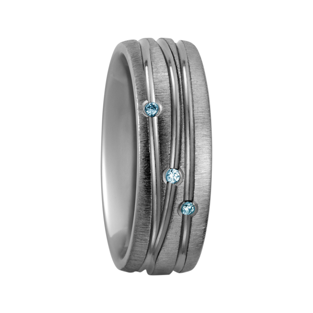 Zenubia Schmuck AG ➤ Titan Ring ➤ Titan / silber ➤ Titanfactory ➤ online bei Zenubia in Winterthur kaufen ➤ sofort lieferbar