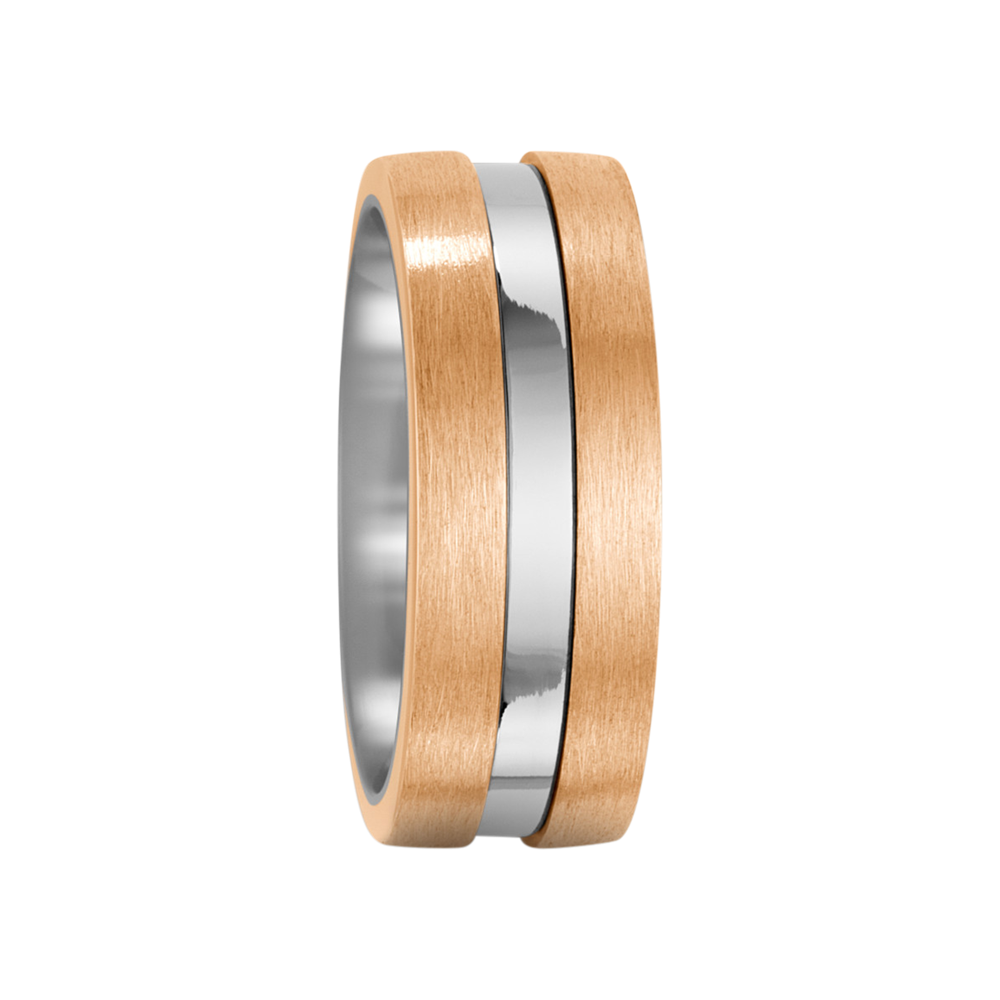 Zenubia Schmuck AG ➤ Bronze, Titan Ring ➤ Titan, Bronze / silber, gold ➤ Titanfactory ➤ online bei Zenubia in Winterthur kaufen ➤ sofort lieferbar