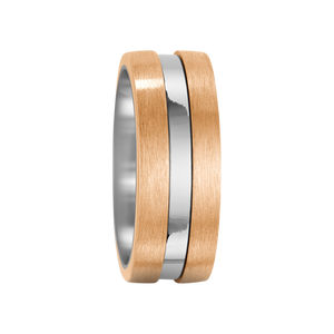 Zenubia Schmuck AG ➤ Bronze, Titan Ring ➤ Titan, Bronze / silber, gold ➤ Titanfactory ➤ online bei Zenubia in Winterthur kaufen ➤ sofort lieferbar