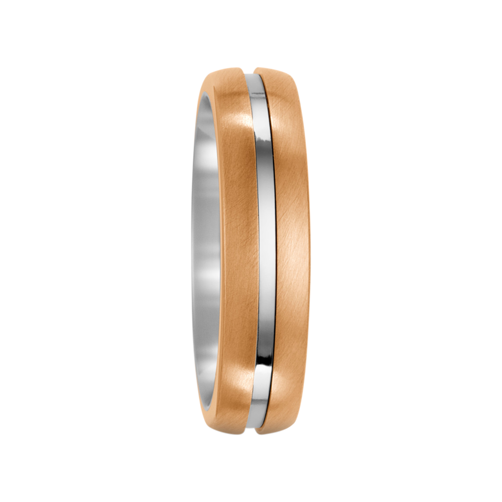 Zenubia Schmuck AG ➤ Bronze, Titan Ring ➤ Titan, Bronze / silber, gold ➤ Titanfactory ➤ online bei Zenubia in Winterthur kaufen ➤ sofort lieferbar