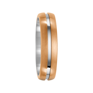 Zenubia Schmuck AG ➤ Bronze, Titan Ring ➤ Titan, Bronze / silber, gold ➤ Titanfactory ➤ online bei Zenubia in Winterthur kaufen ➤ sofort lieferbar