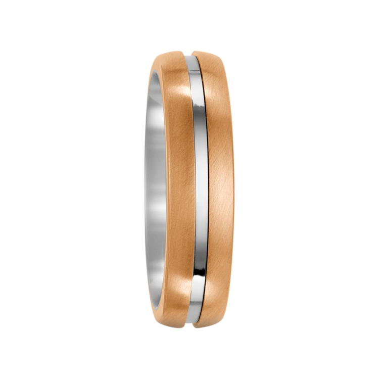 Zenubia Schmuck AG ➤ Bronze, Titan Ring ➤ Titan, Bronze / silber, gold ➤ Titanfactory ➤ online bei Zenubia in Winterthur kaufen ➤ sofort lieferbar