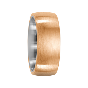 Zenubia Schmuck AG ➤ Bronze, Titan Ring ➤ Titan, Bronze / silber, gold ➤ Titanfactory ➤ online bei Zenubia in Winterthur kaufen ➤ sofort lieferbar