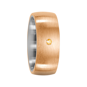 Zenubia Schmuck AG ➤ Bronze, Titan Ring ➤ Titan, Bronze / silber, gold ➤ Titanfactory ➤ online bei Zenubia in Winterthur kaufen ➤ sofort lieferbar