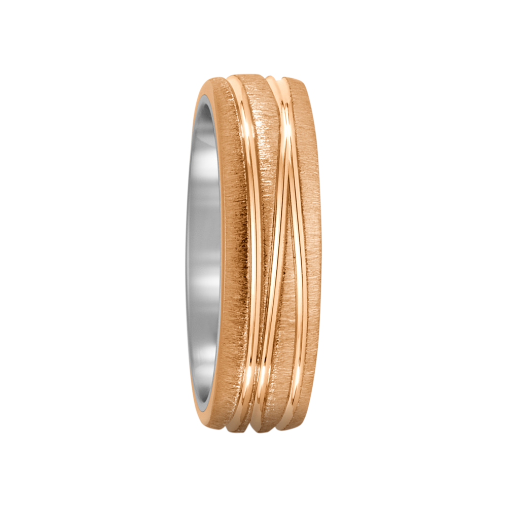 Zenubia Schmuck AG ➤ Bronze, Titan Ring ➤ Titan, Bronze / silber, gold ➤ Titanfactory ➤ online bei Zenubia in Winterthur kaufen ➤ sofort lieferbar