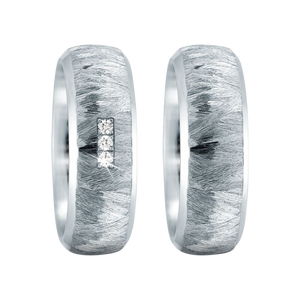 Zenubia Schmuck AG ➤ Edelstahl Ring ➤ Edelstahl / silber ➤ Titanfactory ➤ online bei Zenubia in Winterthur kaufen ➤ sofort lieferbar