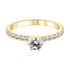 Zenubia Schmuck AG ➤ Verlobungsring Felina ➤ Gelbgold, Weissgold, Roségold / gold, silber, rosé ➤ Zenubia ➤ online bei Zenubia in Winterthur kaufen ➤ sofort lieferbar